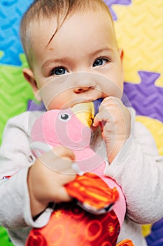 Baby lies on a colored blanket and chews on a stuffed bird toy. Close-up. View from above