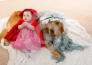 Baby Little Red Riding Hood with wolf dog as grandma