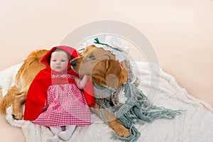 Baby Little Red Riding Hood with wolf dog as grandma