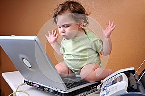 Baby looking at laptop baffled