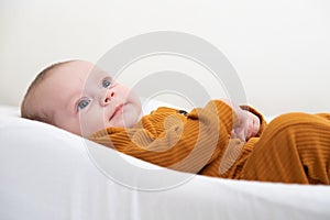 The baby is lying in a cocoon of copy space . The baby is 0-3 months old. A contented infant. An article about choosing