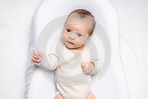 The baby is lying in a cocoon of copy space . The baby is 0-3 months old. A contented infant. An article about choosing