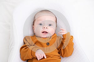 The baby is lying in a cocoon of copy space . The baby is 0-3 months old. A contented infant. An article about choosing