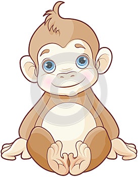 Baby monkey