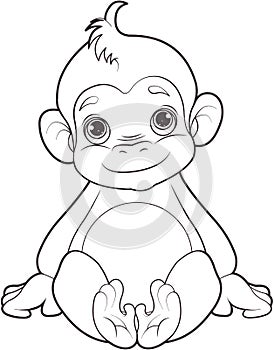 Baby monkey