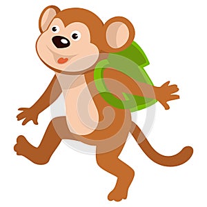 Baby monkey carrying satchel on shoulders walking to school