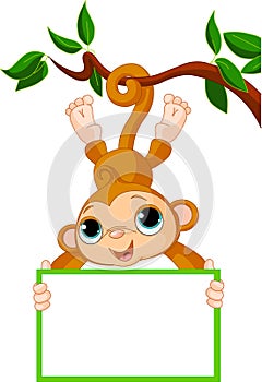 Baby monkey on a tree holding blank sign