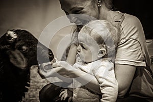 Baby with mother feeding animal at the petting zoo