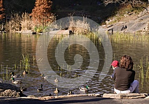 Baby and mother looking at ducks