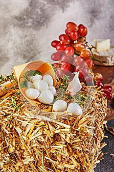 Baby mozzarella cheese on a hay with garlic and grapes on a gray-blue background