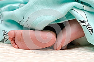 baby newborn feet leg