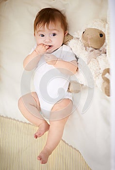 Baby, nursery and rest with sheep in home, above and healthy with growth, development and relax in morning. Infant