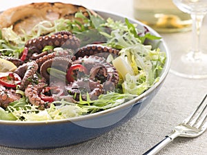 Baby Octopus Salad with Frisse Roquette