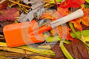 Baby orange shovel on autumn leaves
