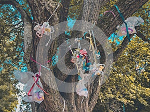 Baby pacifier hanging on the tree branch in Halmstad, Sweden