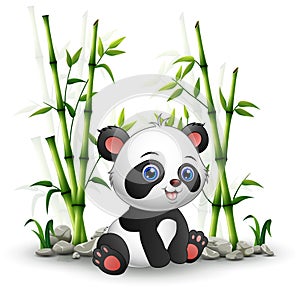 Baby panda sitting among bamboo stem