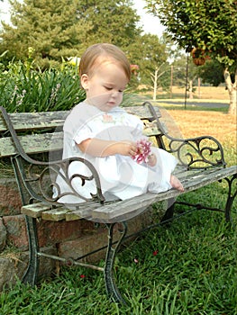 Baby on a Park Bench