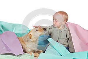 Baby patting the family dog