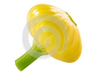 Baby Pattypan squash  Cucurbita pepo, isolated w clipping path