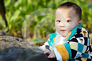 Baby peep out of the stone