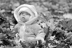 Baby in pile of leaves wearing winter coat