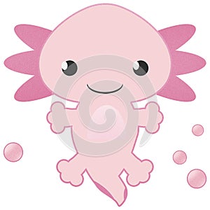 Baby Pink Axolotl and Bubbles on White Background