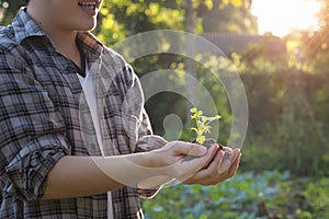 Baby plant on hand agriculture man.