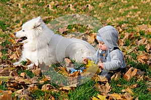 Baby plays with yellow leaves sitting on the lawn