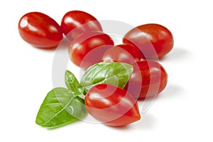 Baby Plum Tomatoes with Basil Isolated