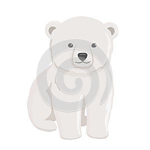 Baby polar bear. Vector cartoon illustration. North animal.