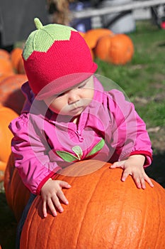 Baby Pumkin Patch