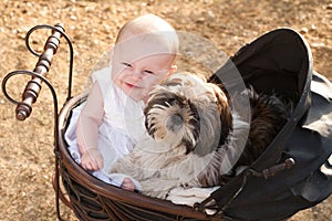 Baby and puppy in vintage pram