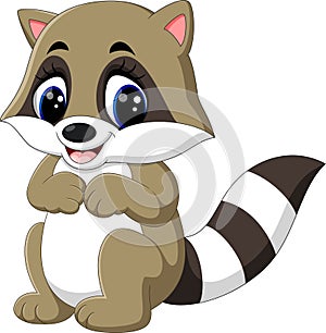 Baby raccoon cartoon