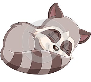 Baby raccoon cartoon