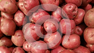 Baby Red Potatoes