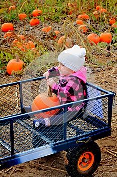 Baby riding in pumpkin patch wagon