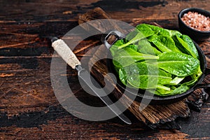 Baby romain green salad leaves in pan. Dark wooden background. Top view. Copy space