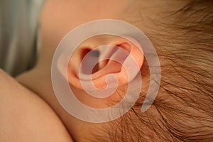 Baby's Ear