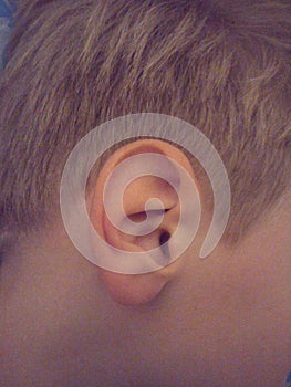 Baby`s ear. The ear of the child. Human ear. Ear of a boy. Auricle. Hearing photo
