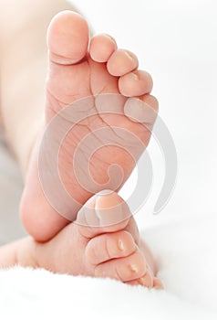 Baby's feet