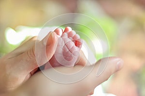 Baby s feet closeup picture. Mother s hands holding child s foot. Little girl s fingers at front