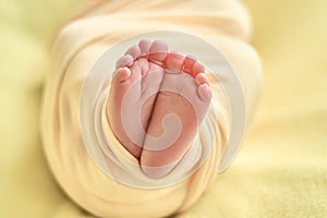 Baby`s feet, fingers close up. newborn baby legs, massage concept of childhood