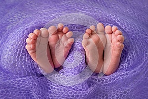 Baby`s feet on a lilac background, twins, place for text, birth of a child. Happy Family concept. Beautiful conceptual image of