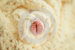 Baby`s feet wrapped in a warm yellow soft blanket, newborn baby`s feet