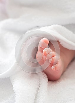 Baby's first steps: tiny foot unveiled from a white towel