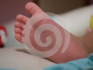 A baby's foot