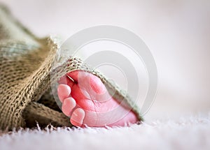 Baby`s foot photo