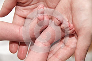 Baby's foot in mother hands, newborn baby little legs