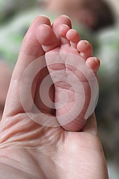 Baby's foot in mother's hand