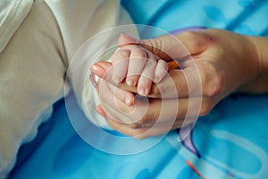 Baby`s hand in the hands of parents on the background of a garland and a Christmas tree